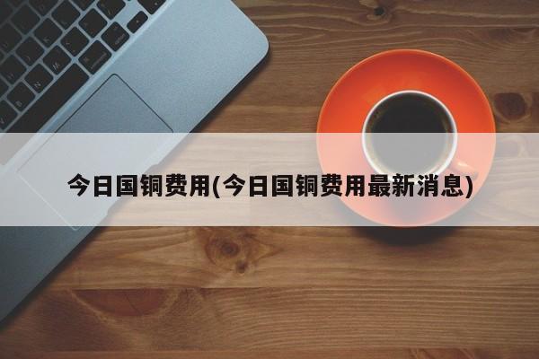 今日国铜费用(今日国铜费用最新消息)