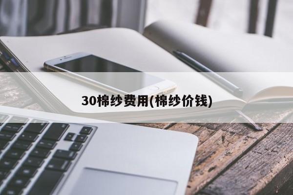 30棉纱费用(棉纱价钱)
