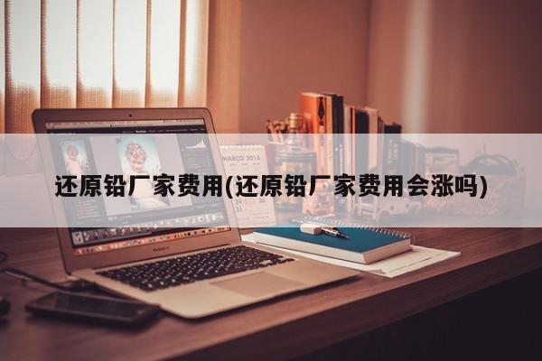 还原铅厂家费用(还原铅厂家费用会涨吗)