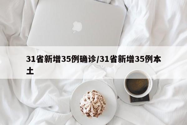 31省新增35例确诊/31省新增35例本土