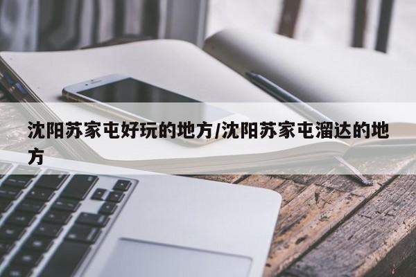沈阳苏家屯好玩的地方/沈阳苏家屯溜达的地方