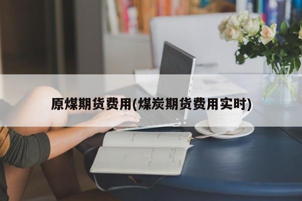 原煤期货费用(煤炭期货费用实时)
