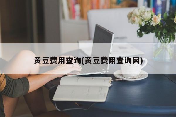 黄豆费用查询(黄豆费用查询网)