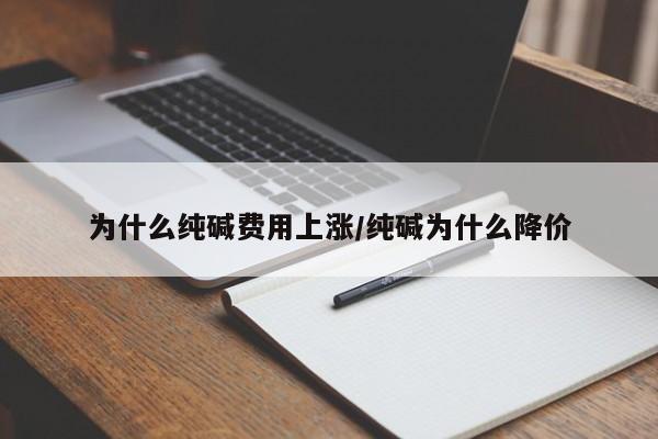 为什么纯碱费用上涨/纯碱为什么降价