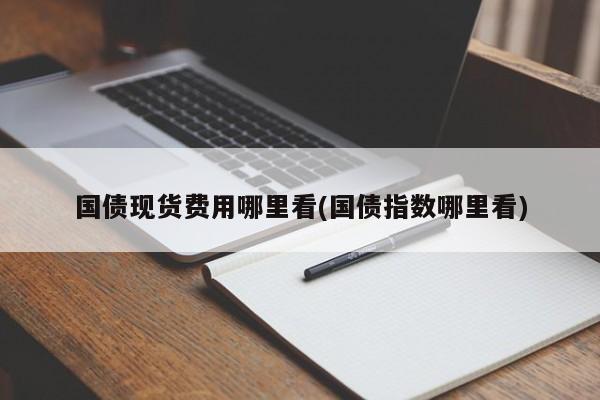 国债现货费用哪里看(国债指数哪里看)