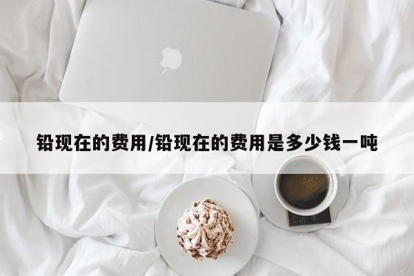 铅现在的费用/铅现在的费用是多少钱一吨
