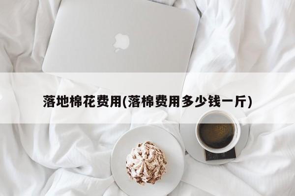 落地棉花费用(落棉费用多少钱一斤)